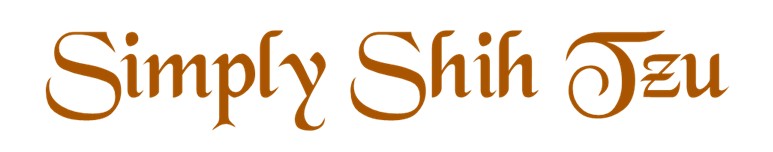 simpleshihtzuheading.jpg
